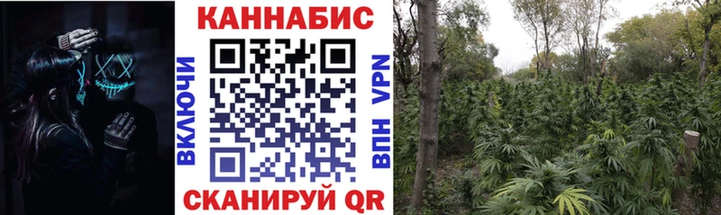 Марихуана семена даркнет сайт kraken ссылки darknet клад Покачи